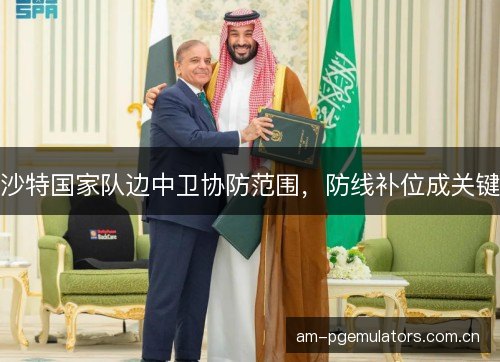 沙特国家队边中卫协防范围,防线补位成关键 沙特国家队边中卫协防范围,防线补位成关键