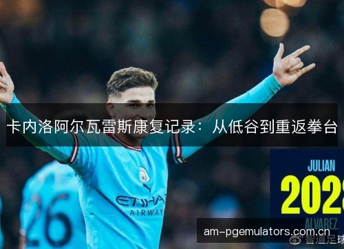 卡内洛阿尔瓦雷斯康复记录：从低谷到重返拳台